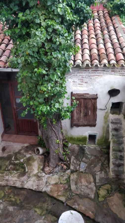 Airam Home Aragon, 7 Almansa Exterior photo